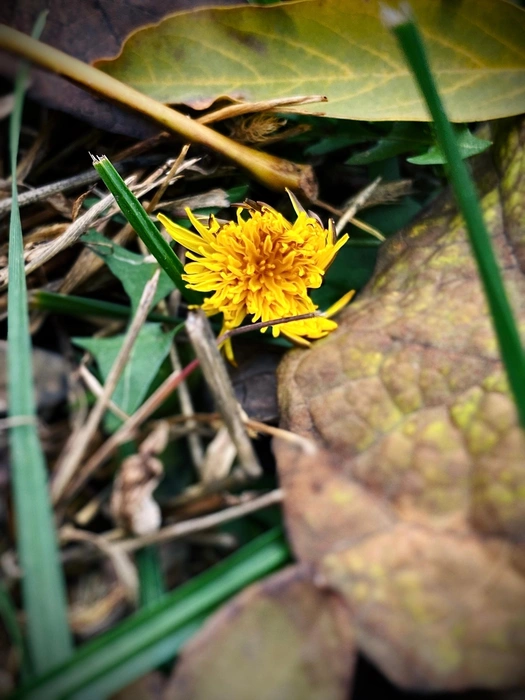 Источник: Юлия Воропаева