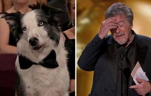 Хлопающий пес и растерянный Аль Пачино: самые забавные и неловкие моменты на «Оскаре-2024»