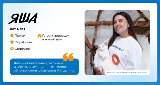 Источник: Василиса Молахова, Евгений Шаров