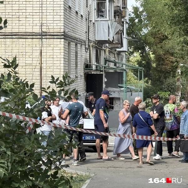 Источник: Сергей Петунин / 164.RU
