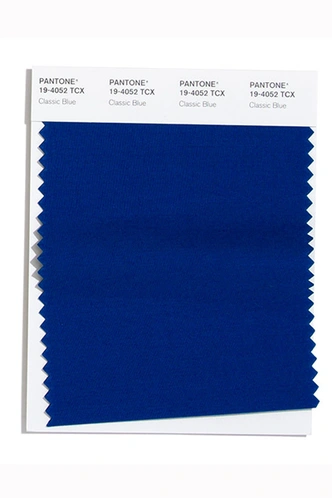 PANTONE 19-4052