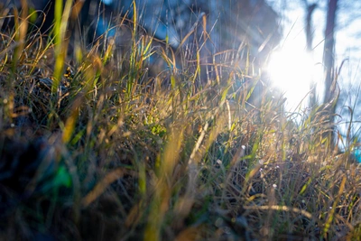 Теплая погода вернется в Зауралье на пасхальные выходные