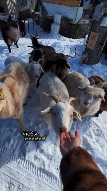 28-летняя девушка из Томска бросила всё и уехала на Алтай. Уже 5 месяцев она живет в легковушке