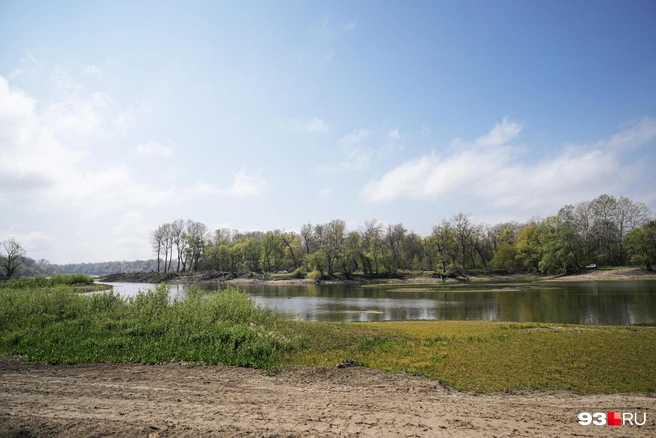 Обстоятельства его гибели пока неизвестны | Источник: Дарья Паращенко / 93.RU