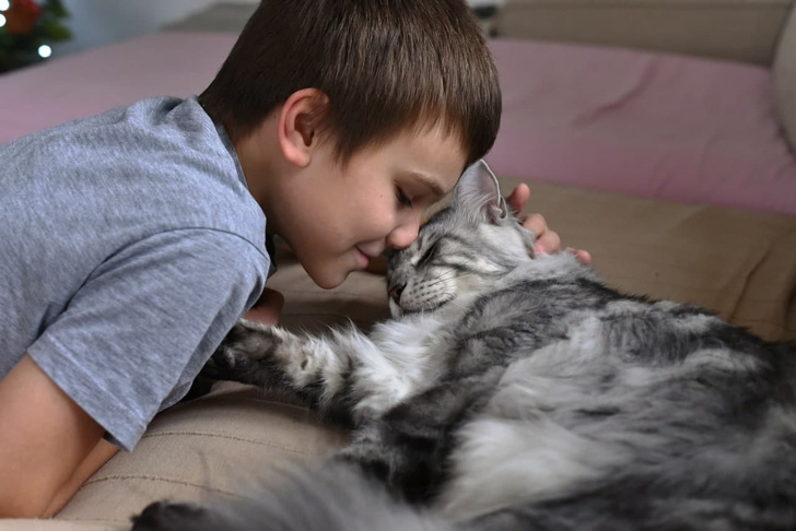 Что делать, если у ребенка аллергия на кошку | WOMAN