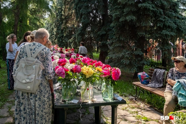 А вот и коллекции пионоводов | Источник: Василина Любимова / 59.RU