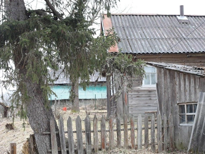 Феньково расположено на Ребовой горе (Подпорожский район). Название от вепского «лиса». В округе много лисиц и медведей. | Источник: Ксения Потеева / «Фонтанка.ру»