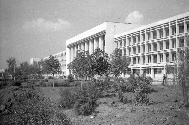 Кубанский государственный университет, 1971 год | Источник: pastvu.com