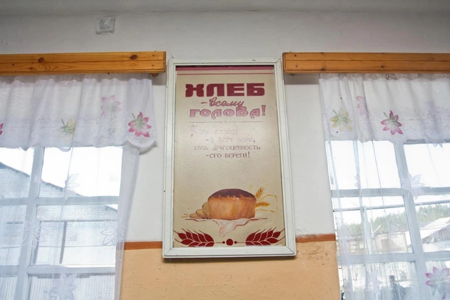 Источник: Ксения Зимина