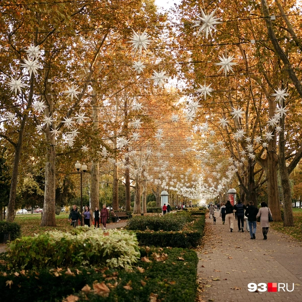 Источник: Дарья Паращенко / 93.RU