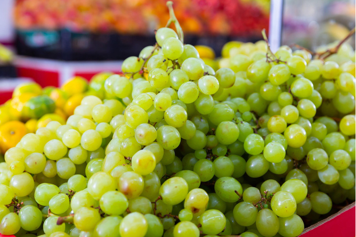 Как размножается виноград без косточек?