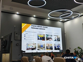Источник: Тамара Ван-Фу-Ли / CHITA.Ru