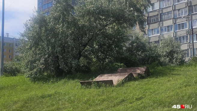 Вот на таких лежаках на набережной, рядом с пляжем, можно отдохнуть | Источник: Дарья Никитченко / 45.RU