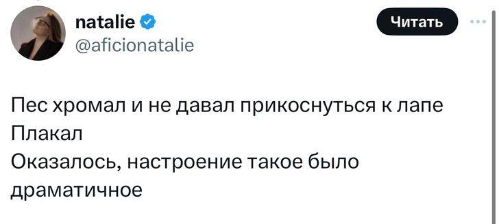 В «Твиттере» делятся тупыми причинами, по которым возили животных в ветеринарные клиники. И это уморительно!