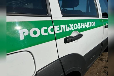 Забайкальский Россельхознадзор выявил массу нарушений