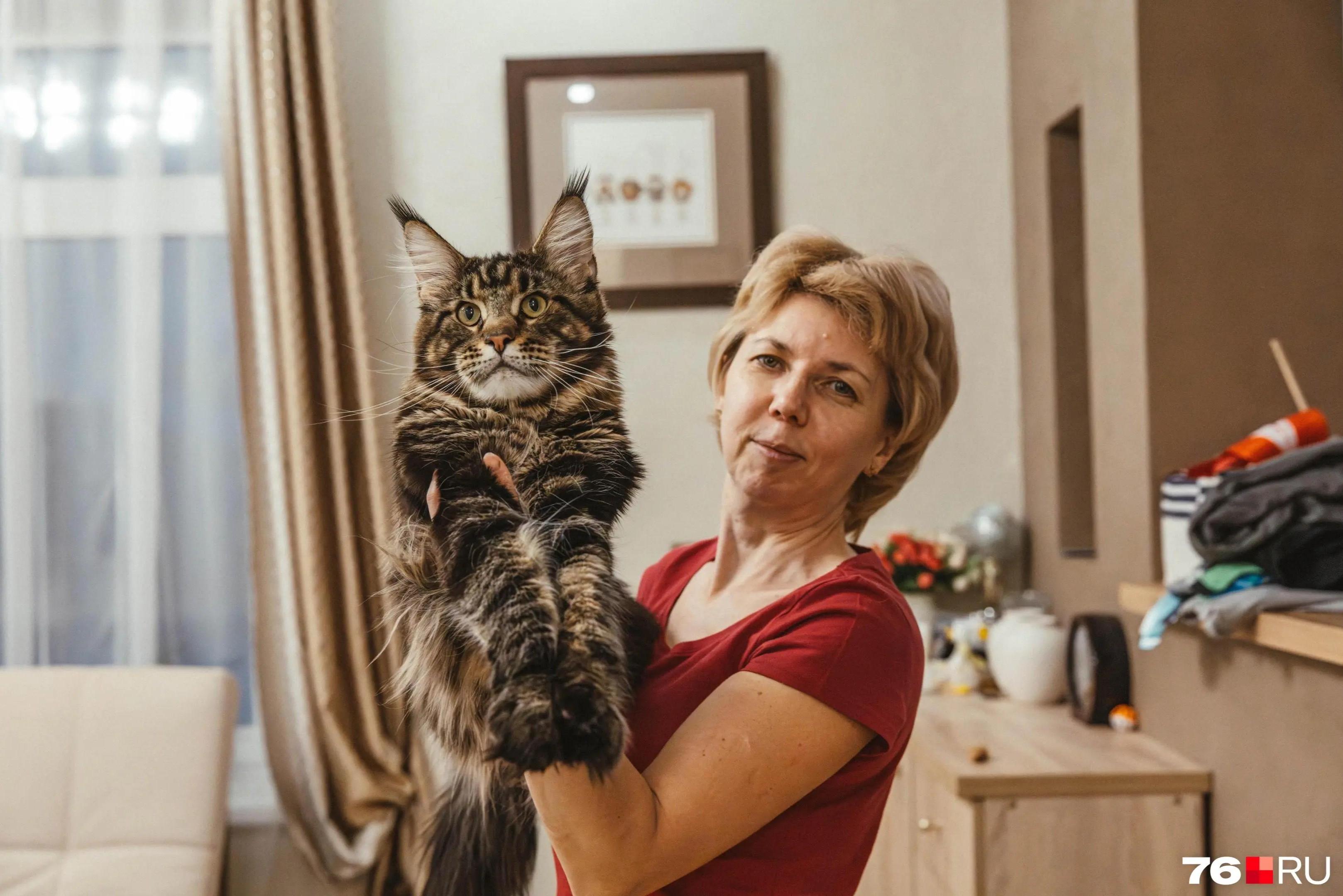 &laquo;��������� �� 50 ����� &mdash; ������� � �����&raquo;: ��������� ����-����� ���������� � ������� ������� �� ������