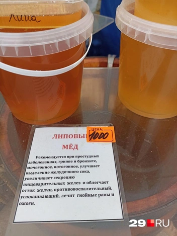 Источник: Иван Митюшёв / 29.RU