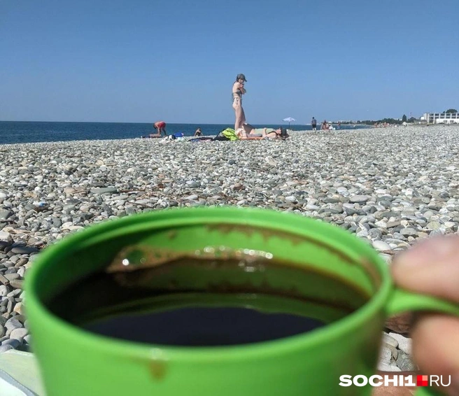 Утренний кофе на пляже просто шикарен | Источник: читатели SOCHI.RU