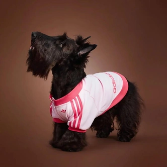 Источник: Adidas China / соцсети