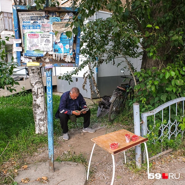 Уже клубнику продают | Источник: Василина Любимова / 59.RU