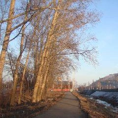 В Кузбассе ожидается тёплая и ветреная погода | Источник: www.city-n.ru