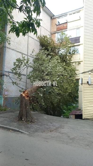 Источник: vl.ru