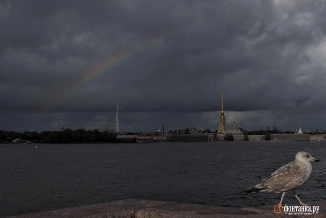 Наслаждаемся последними солнечными лучами в Петербурге. К выходным погода изменится | Источник: Михаил Огнев / «Фонтанка.ру»