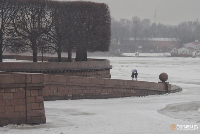 В Петербурге аномально тепло, но от ветра и дождя это не спасает | Источник: Михаил Огнев / «Фонтанка.ру»