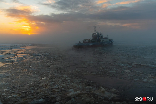 Источник: Иван Митюшёв / 29.RU