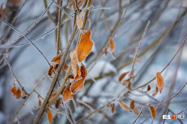 На Кубани продолжает холодать | Источник: Владислав Лоншаков / E1.RU