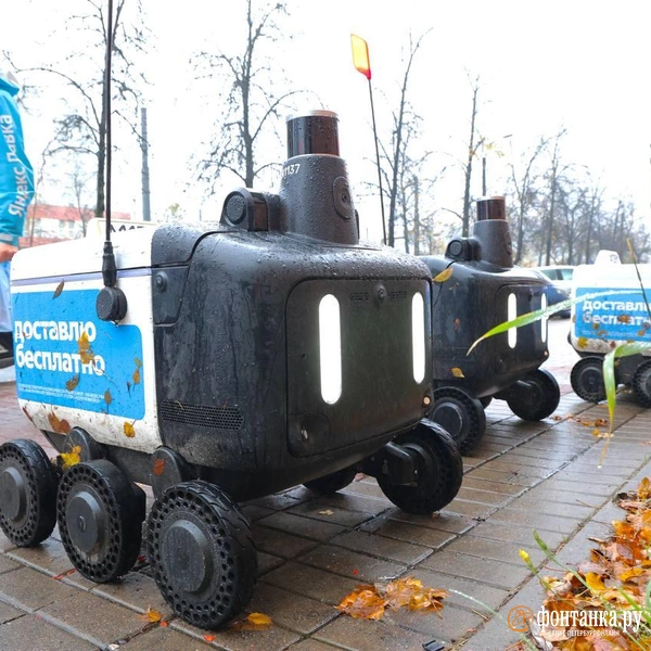 Источник: Марина Мамонтова/ FONTANKA.RU