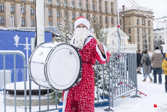 Источник: Дмитрий Волгин / Voronezh1.ru