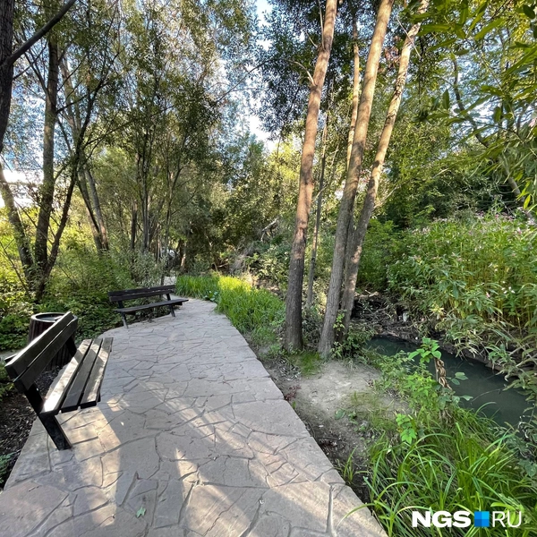 Обособленная зона отдыха с видом на речку | Источник: Алёна Золотухина / NGS.RU