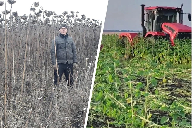 Братья зарабатывают на жизнь фермерством. Но в этом году они остались без урожая, дохода, зато увязли в долгах | Источник: Петр и Александр Окуневы