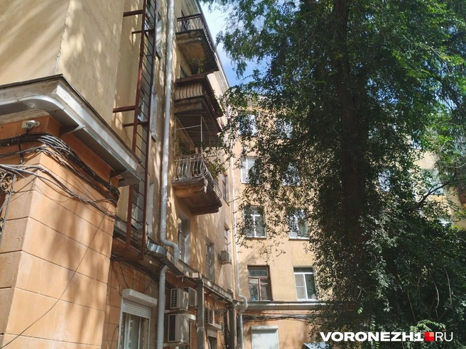 Источник: Дмитрий Волгин / Voronezh1.ru