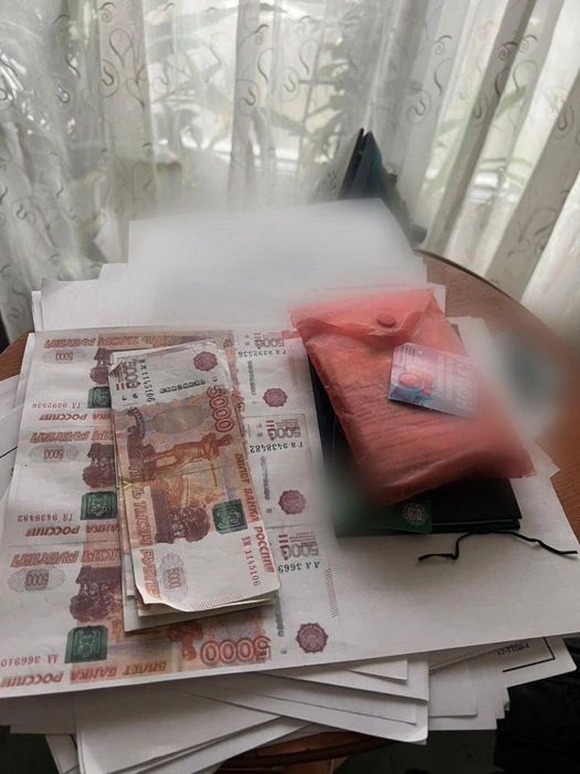 Источник: Петербургская полиция / Telegram 
