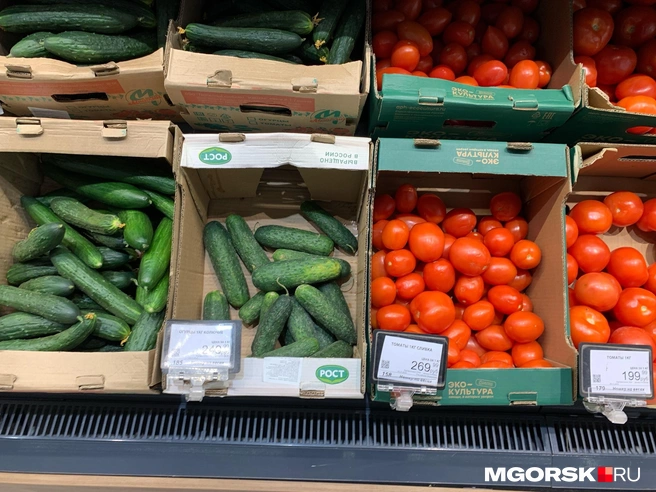 Чеки теперь выглядят иначе | Источник: Анна Лялькова / MGORSK.RU