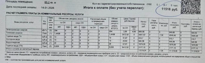 Неожиданная январская сумма | Источник: читательница NGS24.RU