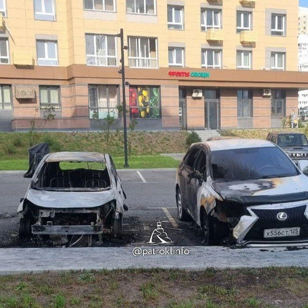 Источник: PATROKL.info / T.me