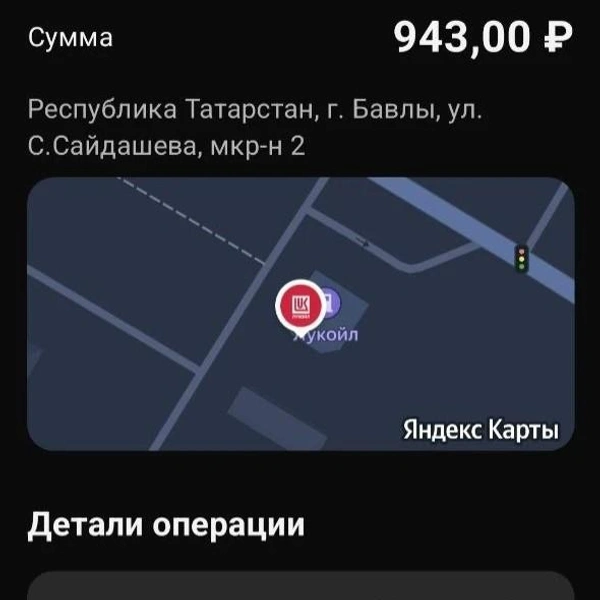 Источник: Дарья Елисейчева / 116.RU