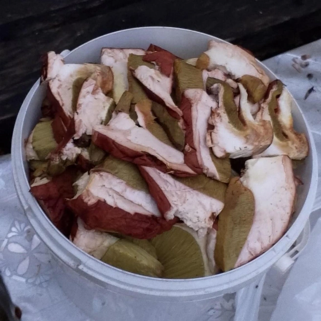 Получается двойная польза: и активный отдых, и грибной улов | Источник: Максим Яковинов / «ВКонтакте»