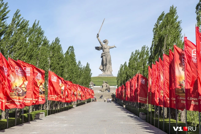 Согласны с урбанистом? | Источник: Константин Завриков / V1.RU