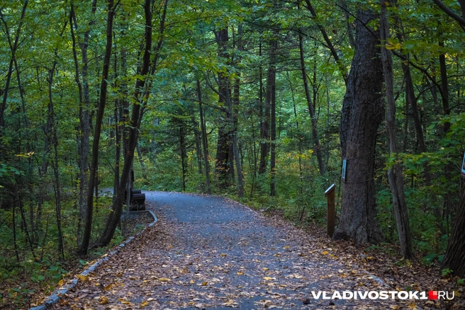 Источник: Елена Буйвол / VLADIVOSTOK1.RU