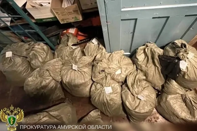 Житель Архаринского округа осужден за хранение 25 кг конопли