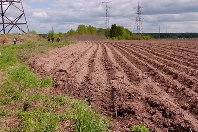 Бесплатные участки для овощей в Костромской области