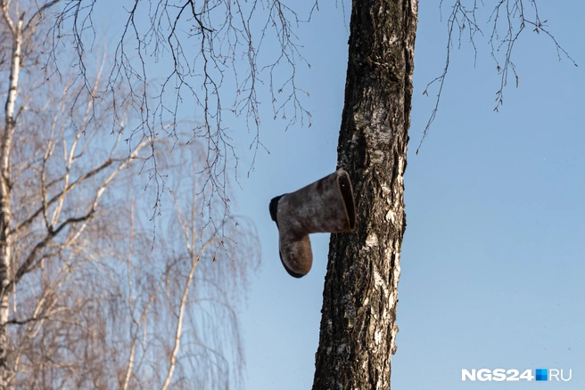 Кроссовки на проводах? А может лучше валенок на дереве?