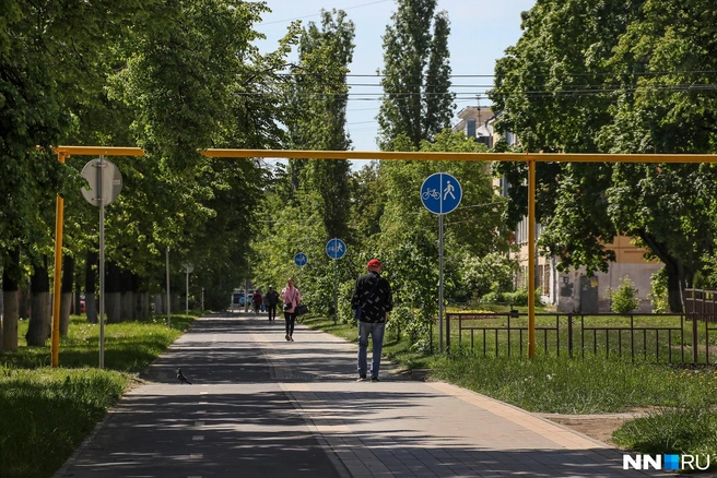 В понедельник в Нижнем Новгороде будет особенно жарко | Источник: Наталья Бурухина / NN.RU