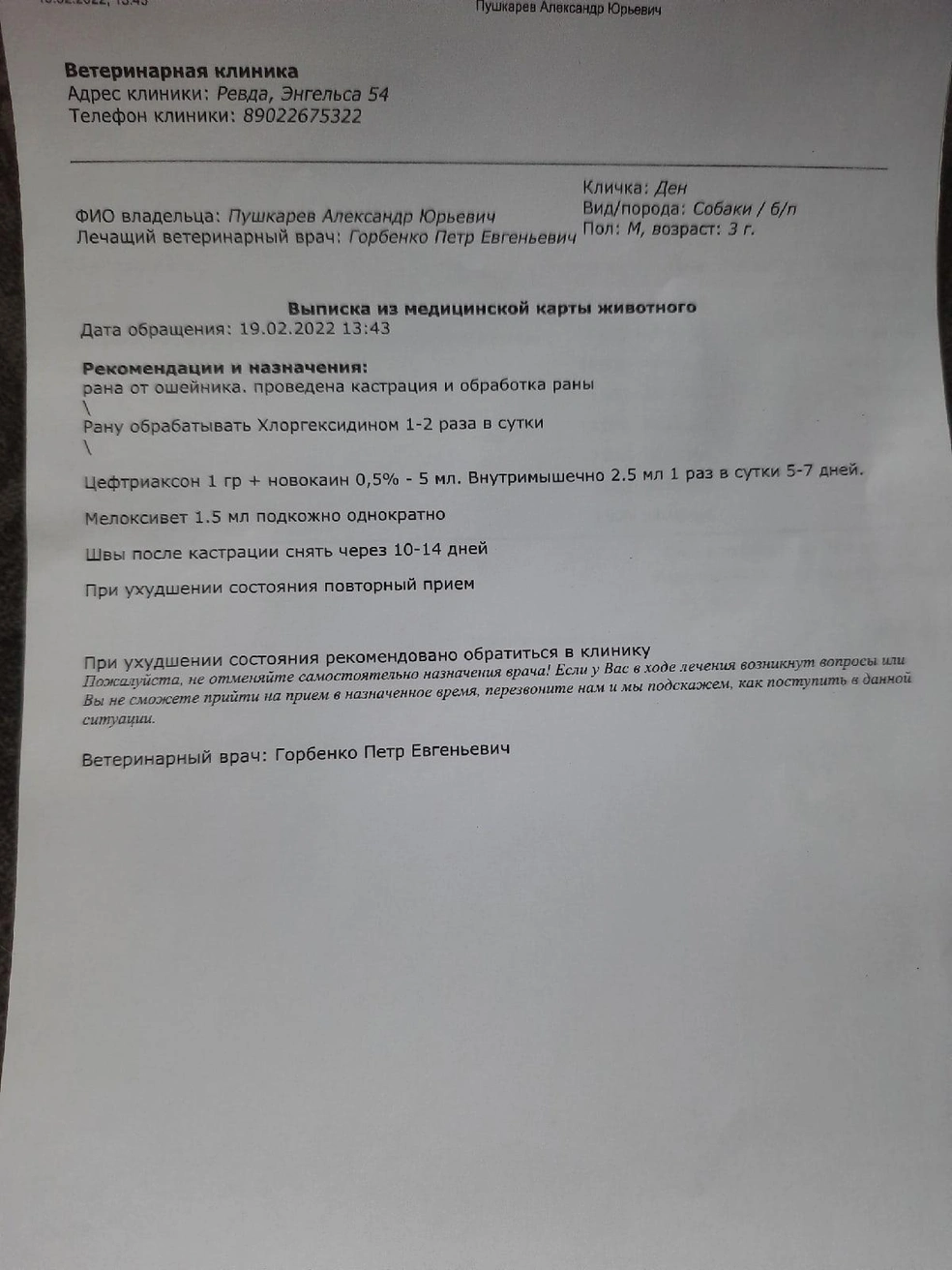 Ошейник врос в кожу». На Урале хозяева пытались избавиться от собаки,  истязая ее и подвешивая на цепь - 21 февраля 2022 - Е1.ру