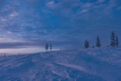 На Ямале прогнозируется аномально холодная погода