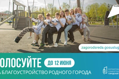 Определены лидеры голосования за благоустройство территорий Костромы